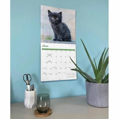 Zwarte Kittens Kalender 2026