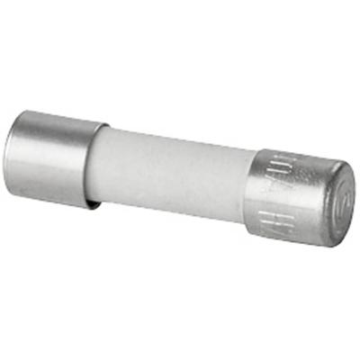 Weidmüller 2780760000 RS-FUSE 5X20 10A250V F Buiszekering (Ø x l) 5 mm x 20 mm 10 A Snel -F- Inhoud 10 stuk(s)