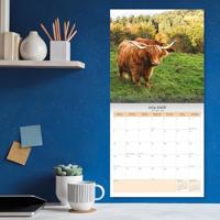 Schotse Hooglanders Kalender 2026 - thumbnail