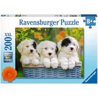 Ravensburger Ravensburger puzzel Schattige puppies - 200 stukjes - thumbnail