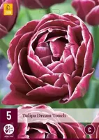 Tulp Dream Touch 5 bollen - thumbnail