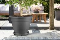 Bloempot Universele planttaxi 40cm antraciet elho - Elho - thumbnail
