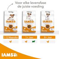 Iams for Vitality Adult Small & Medium met lam hondenvoer 2 x 12 kg - thumbnail