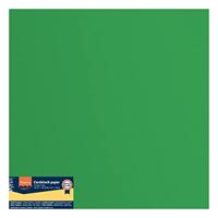 Florence • cardstock papier 216g textuur 30,5x30,5cm holly 20x - thumbnail