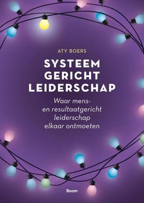 Systeemgericht leiderschap - Aty Boers - ebook