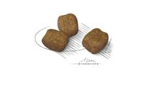 ROYAL CANIN CCN Mini Dental Care - droogvoer voor volwassen honden - 3kg - thumbnail