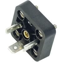 binder 43-1713-000-03 Zwart Aantal polen:2+PE Inhoud: 1 stuk(s) - thumbnail