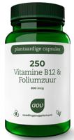 250 Vitamine B12 & Foliumzuur - thumbnail
