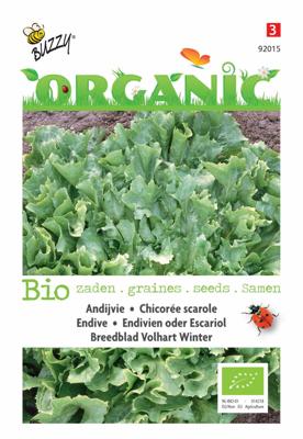 Zaden Organic Andijvie Breedblad Volhart Winter (BIO) Buzzy - Buzzy