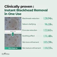 Isntree Mugwort Calming Clay Mask 100 ml Masker - thumbnail