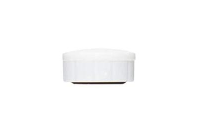 Maul Solid whiteboard magneet 150gr 10 stuks wit Maul Solid whiteboard magneet 150gr 10 stuks wit