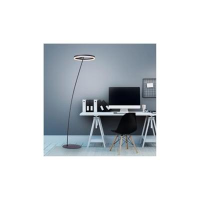 Paul Neuhaus Antraciete vloerlampTitus modern - 381-13