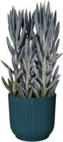 Elho Bloempot Vibes Fold Diepblauw Ø22cm - thumbnail