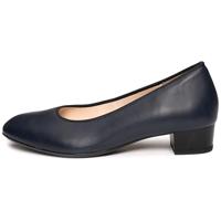 Ara 1226852 - alle - thumbnail