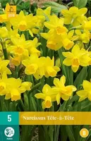 Bloembollen Narcissus Tête-à-Tête 5st - thumbnail