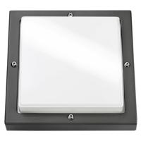 SG lighting LED Bassi 10W 3000K LED grafiet vierkant schemerschakelaar 623188 - thumbnail