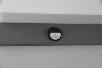 Trio WandlampNestos antraciet met sensor - 240969142