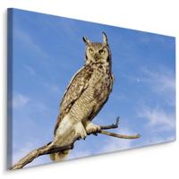 Schilderij - Op zoek naar zijn prooi, Premium Print - thumbnail