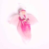 Kerstengelen Roze (Set van 2) - thumbnail