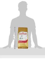 ROYAL CANIN Persian Adult - droog kattenvoer - 2kg - thumbnail