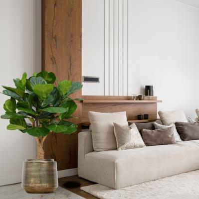 Lyrata deluxe kunstplant op stam 125cm Lyrata deluxe kunstplant op stam 125cm