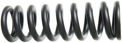 ROCKSHOX veer spring 600lb 240x76 gr