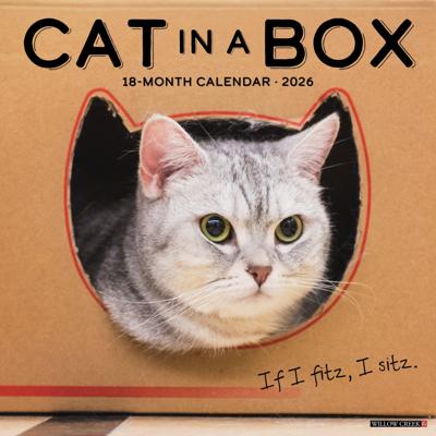 Cat in a Box Kalender 2026