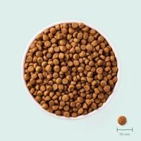Yarrah SMALL Breeds Voedzaam biologisch droogvoer voor honden, voor kleine rassen van alle leeftijden, exquise biologische hondenbrokken met kip, 5 kg, 100% biologisch en vrij van kunstmatige - thumbnail