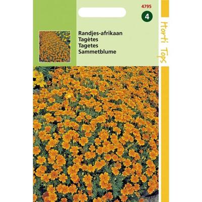 Zaden Tagetes Randjes-afrikaan Orange Hortitops - Hortitops Zaden Tagetes Randjes-afrikaan Orange Hortitops - Hortitops