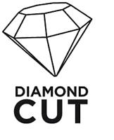 Graphite Diamantschijf 125x22x6,0x1,4mm Turbo Super Dun Mpa En13236 - thumbnail