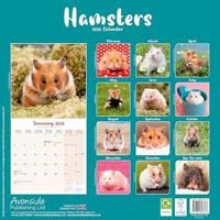 Hamster Kalender 2026 - thumbnail