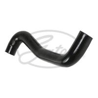 Radiateurslang 052720 - thumbnail