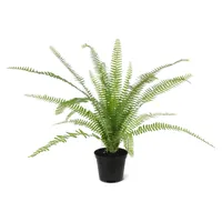 Asplenium Varen 75 cm - Kunstplant - thumbnail