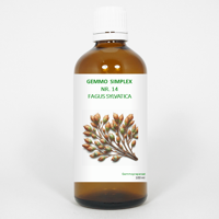 Balancepharma Gemmo simplex 14 fagus sylvatica 100 Milliliter - thumbnail