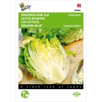 Zaden Romeinse Mini Sla Little Gem Buzzy - Buzzy - thumbnail