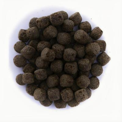 Coppens Spirulina 3mm Koivoer - Kleurversterking & Gezondheid - 15KG Pellets