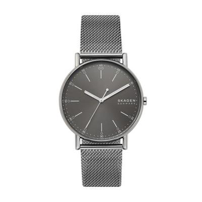 Horlogeband Skagen SKW6577 Mesh/Milanees Staal 20mm Horlogeband Skagen SKW6577 Mesh/Milanees Staal 20mm