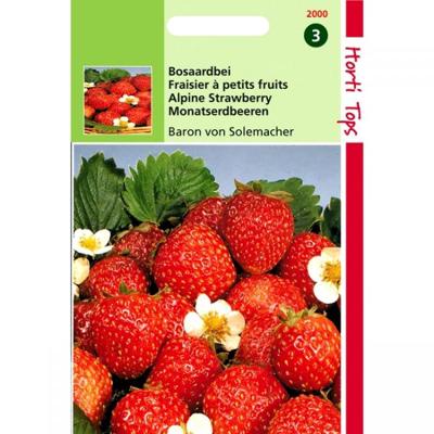 Zaden Bosaardbei - Baron von Solemacher Hortitops - Hortitops Zaden Bosaardbei - Baron von Solemacher Hortitops - Hortitops