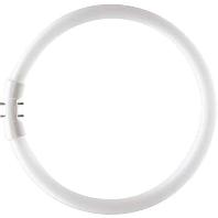 TL5 C 40W/830 - Fluorescent lamp ring shape 40W 18mm TL5 C 40W/830 TL5 C 40W/830 - Fluorescent lamp ring shape 40W 18mm TL5 C 40W/830