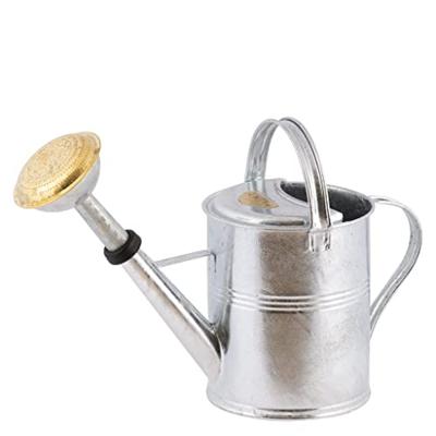 Zinken gieter 5 liter met broeskop