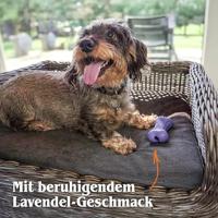 Moodies El Tranquilo (Relax) - thumbnail