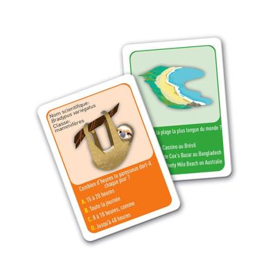 Educatief Spel Clementoni À la découverte du monde (FR)