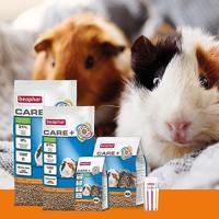 Care plus Cavia I knaagdier - Beaphar - thumbnail