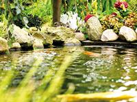 Fonteinpomp Aquarius universal 440 Oase - Oase - thumbnail