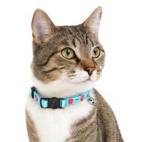 Nobleza Kattenhalsband met belletje - Lichtblauw - thumbnail