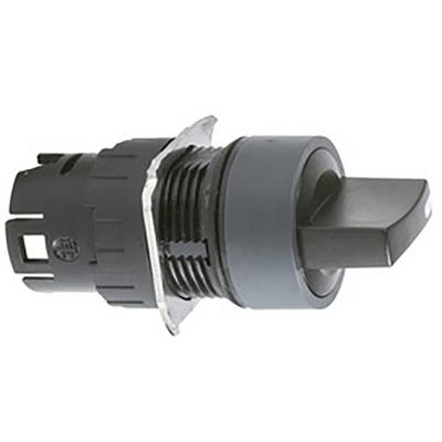 Schneider Electric ZB6AD22 Frontelement voor keuzeschakelaar 1 stuk(s)