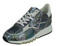 Floris Van Bommel Floris Sport - thumbnail