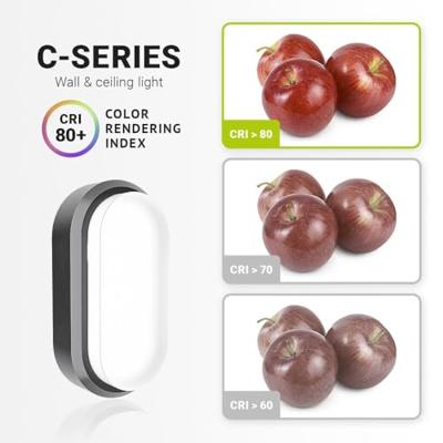 Set van 4 C-Series - LED Plafondlamp zwart ovaal - Wandlamp - Scheepslamp - IP54 - 18 Watt - 1830lm - 6500K Daglicht wit - voor binnen en buiten