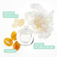 Cacharel Noa Eau De Toilette 30ml - thumbnail