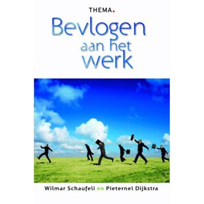 Bevlogen aan het werk (Paperback)